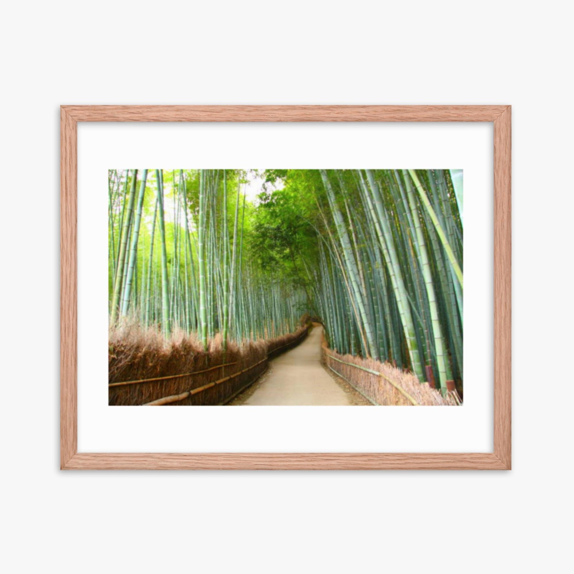 Bamboo grove in Kyoto 16x20 in Poster With Oak Frame