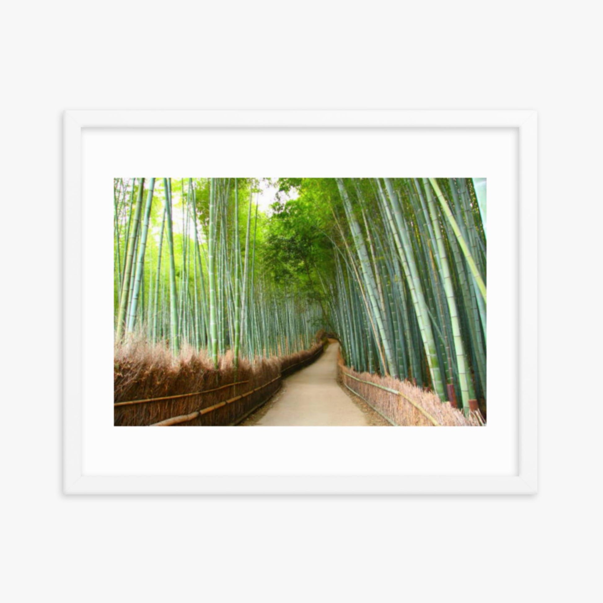 Bamboo grove in Kyoto 16x20 in Poster With White Frame