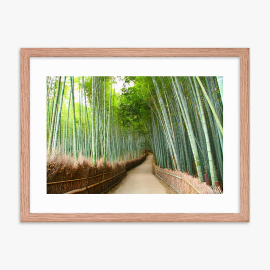 Bamboo grove in Kyoto 18x24 in Poster With Oak Frame