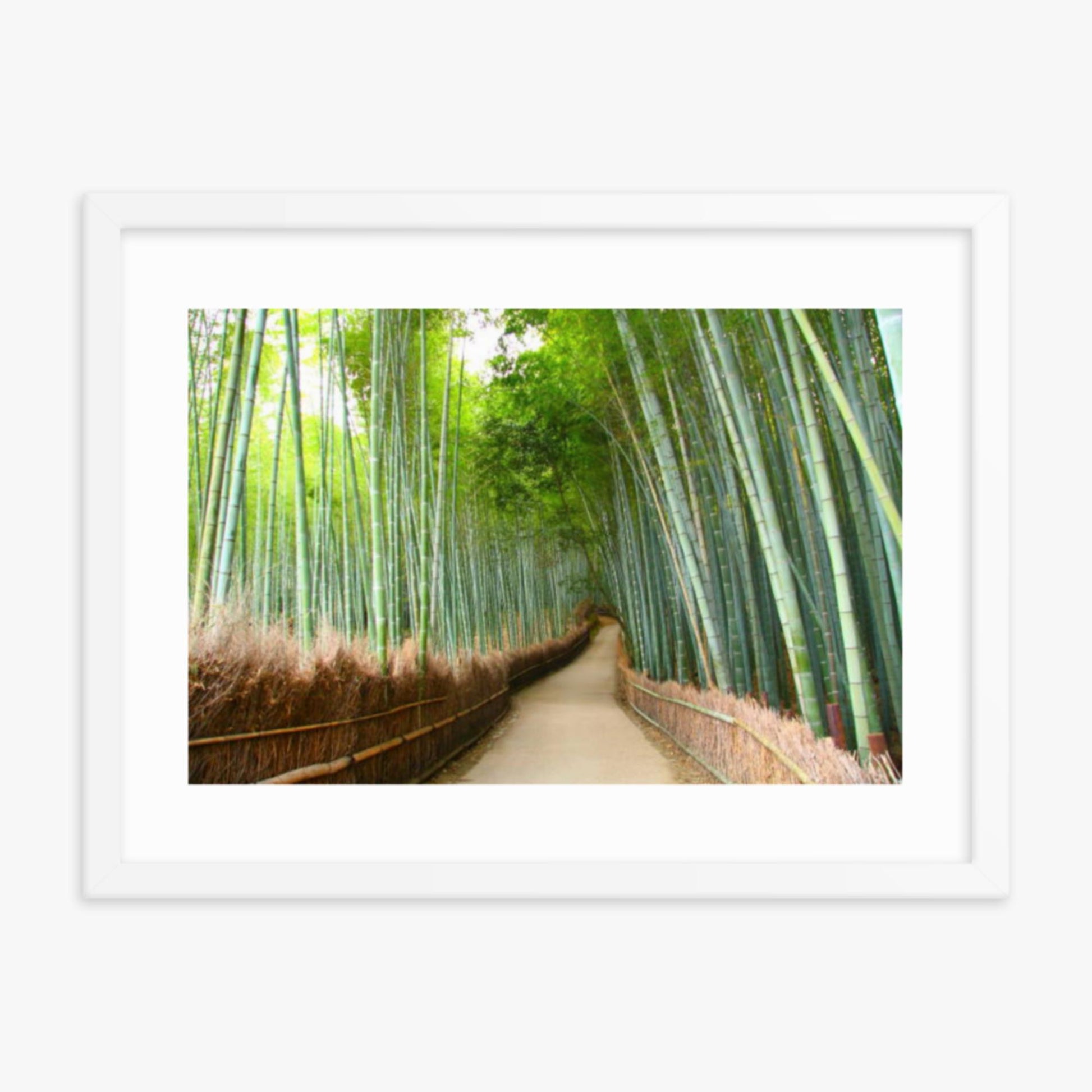 Bamboo grove in Kyoto 18x24 in Poster With White Frame