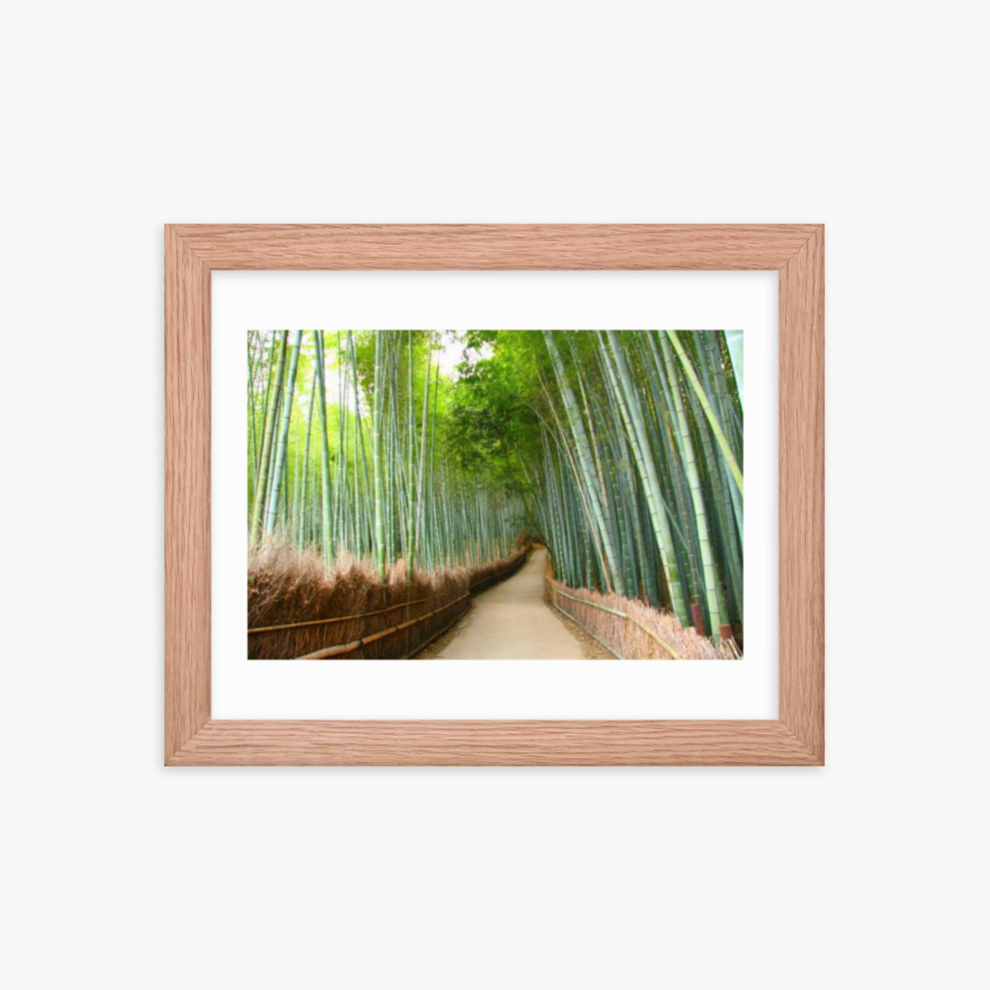 Bamboo grove in Kyoto 8x10 in Poster With Oak Frame