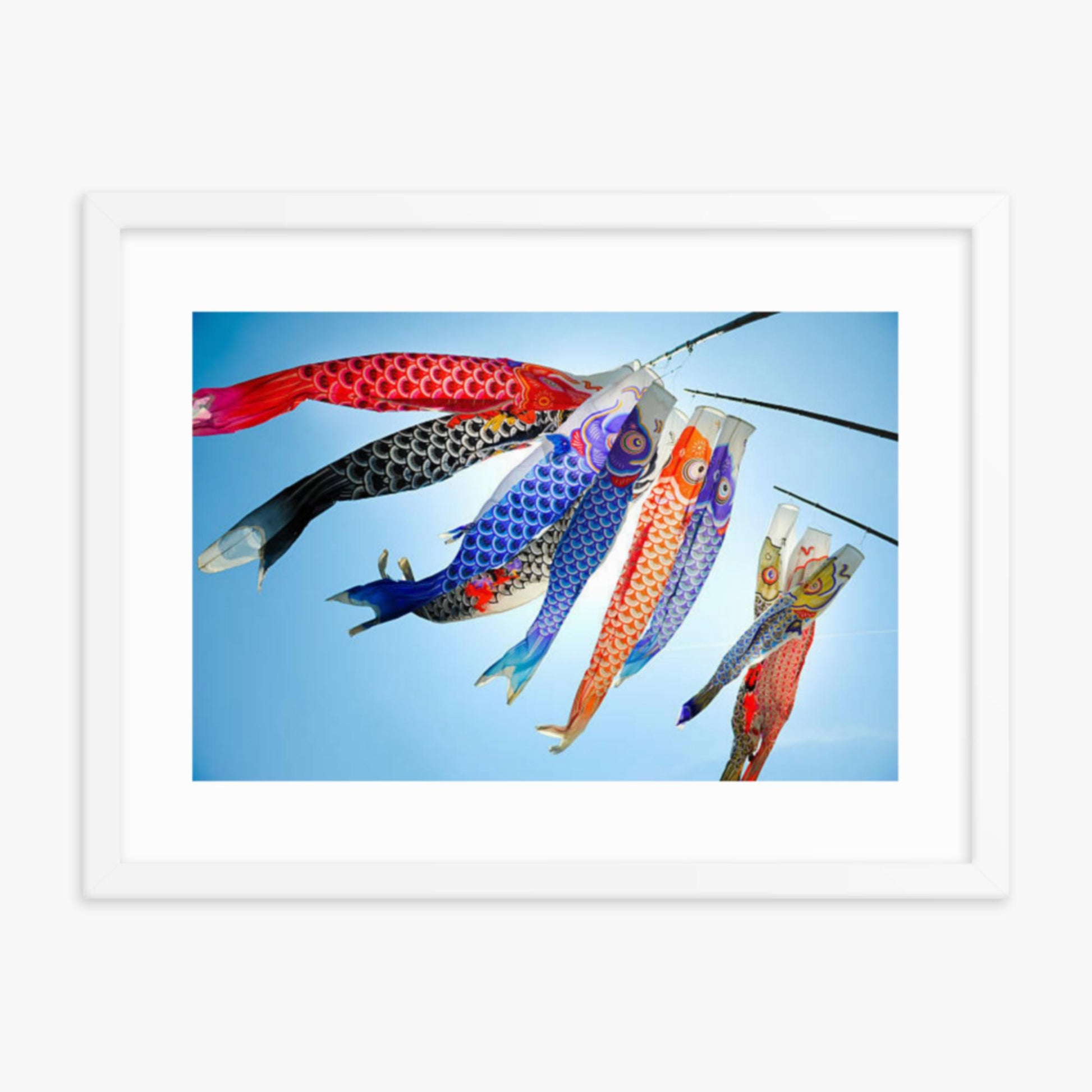 Koinobori 18x24 in Poster With White Frame