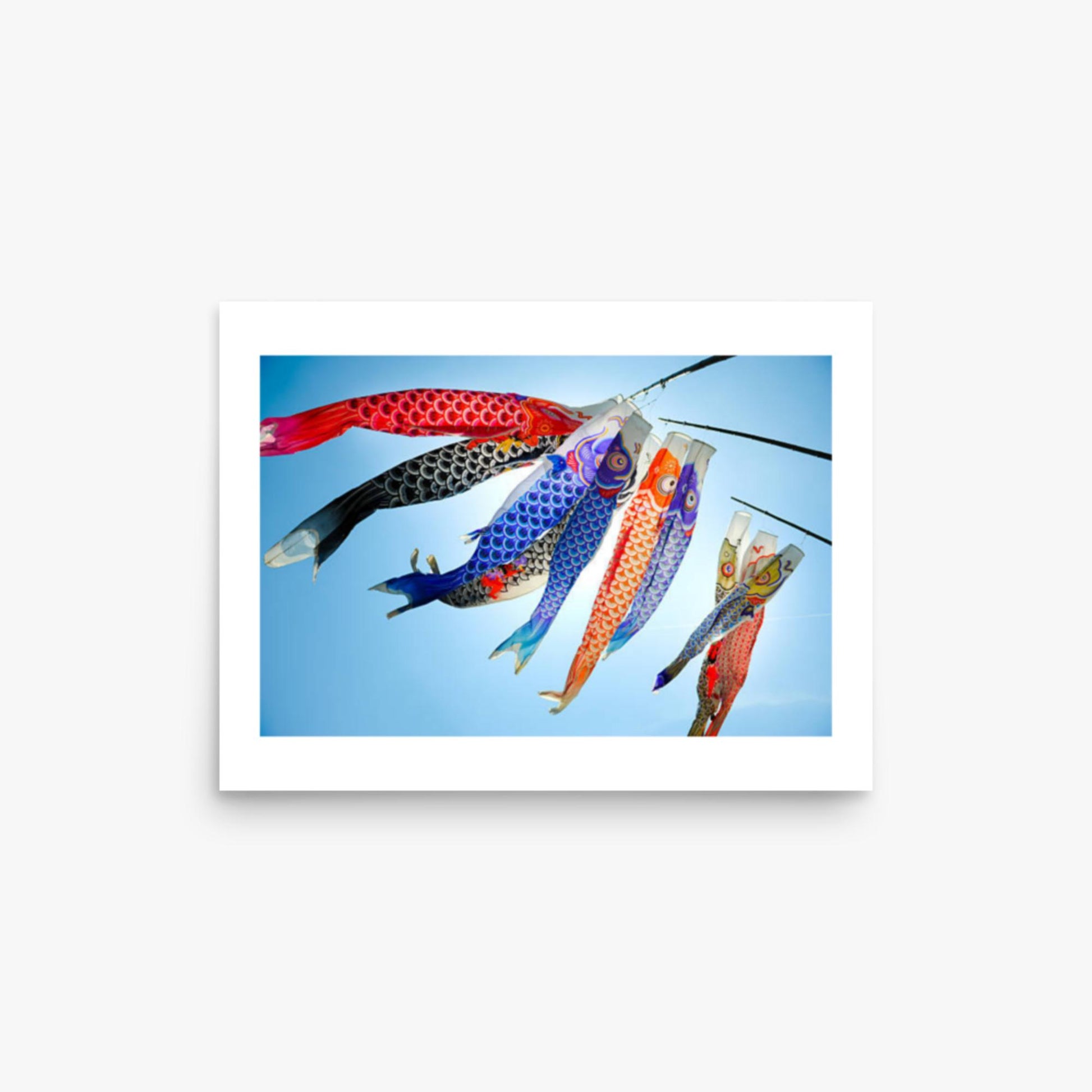 Koinobori 12x16 in Poster