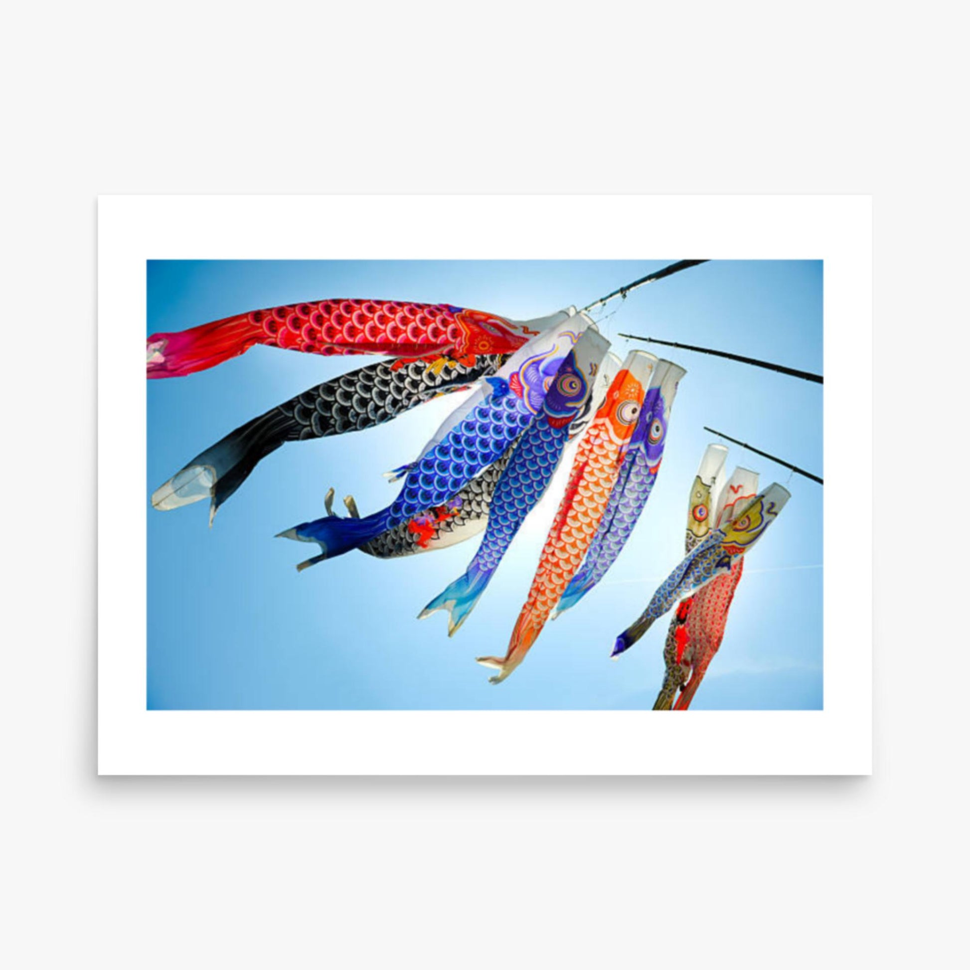 Koinobori 18x24 in Poster