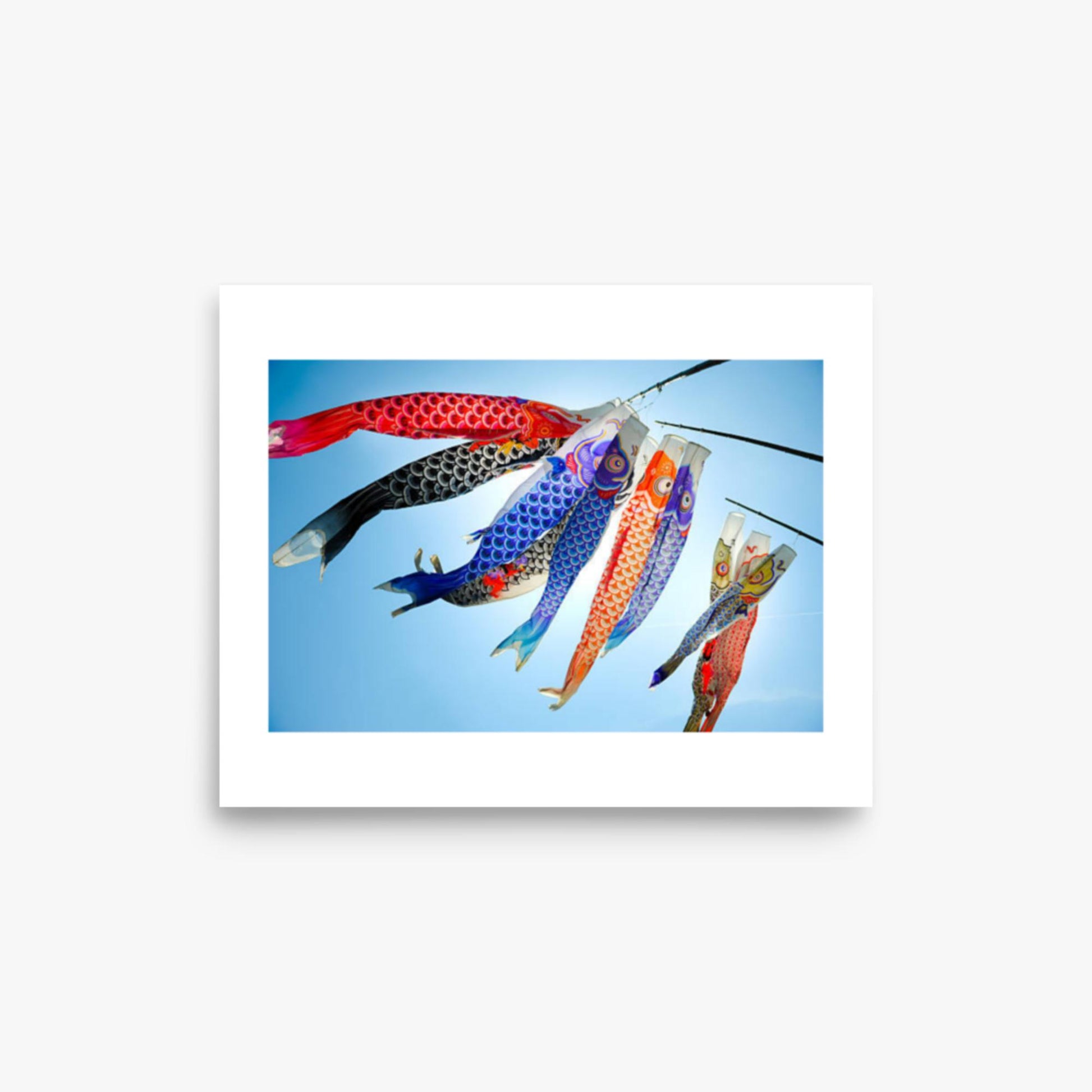 Koinobori 8x10 in Poster