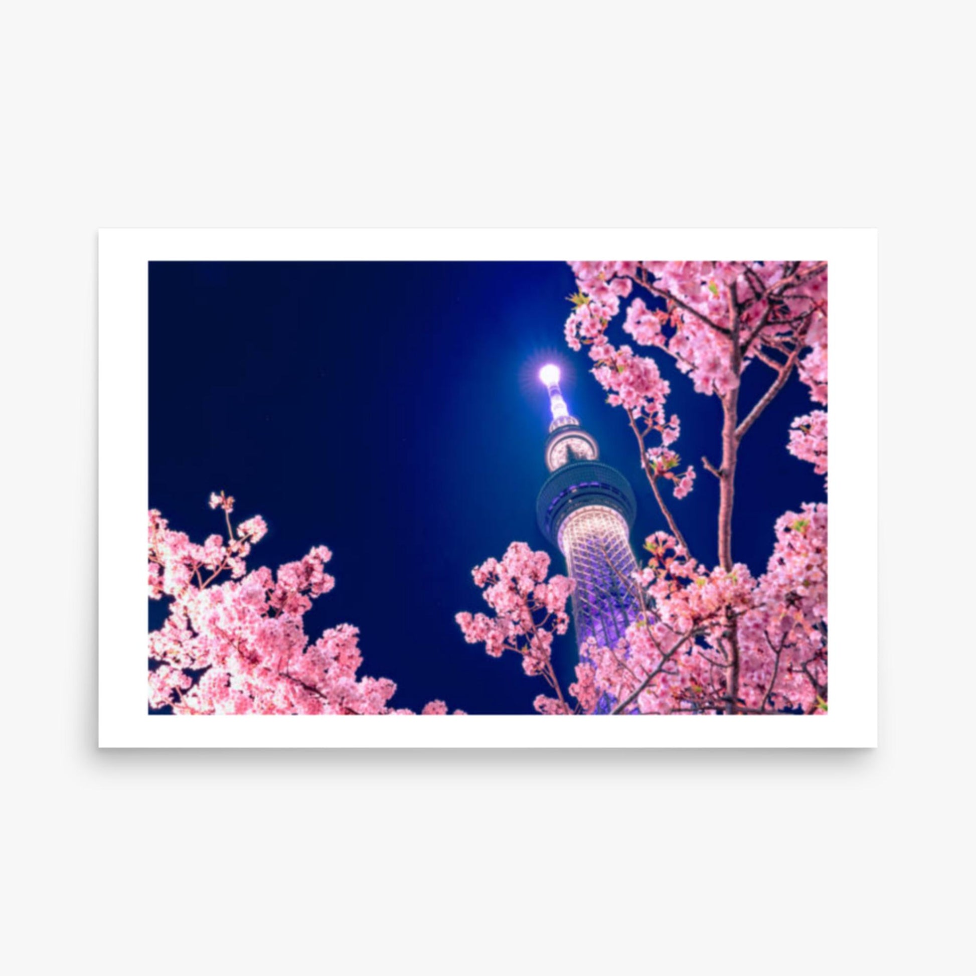 Tokyo Sky tree with Sakura 24x36 in Poster