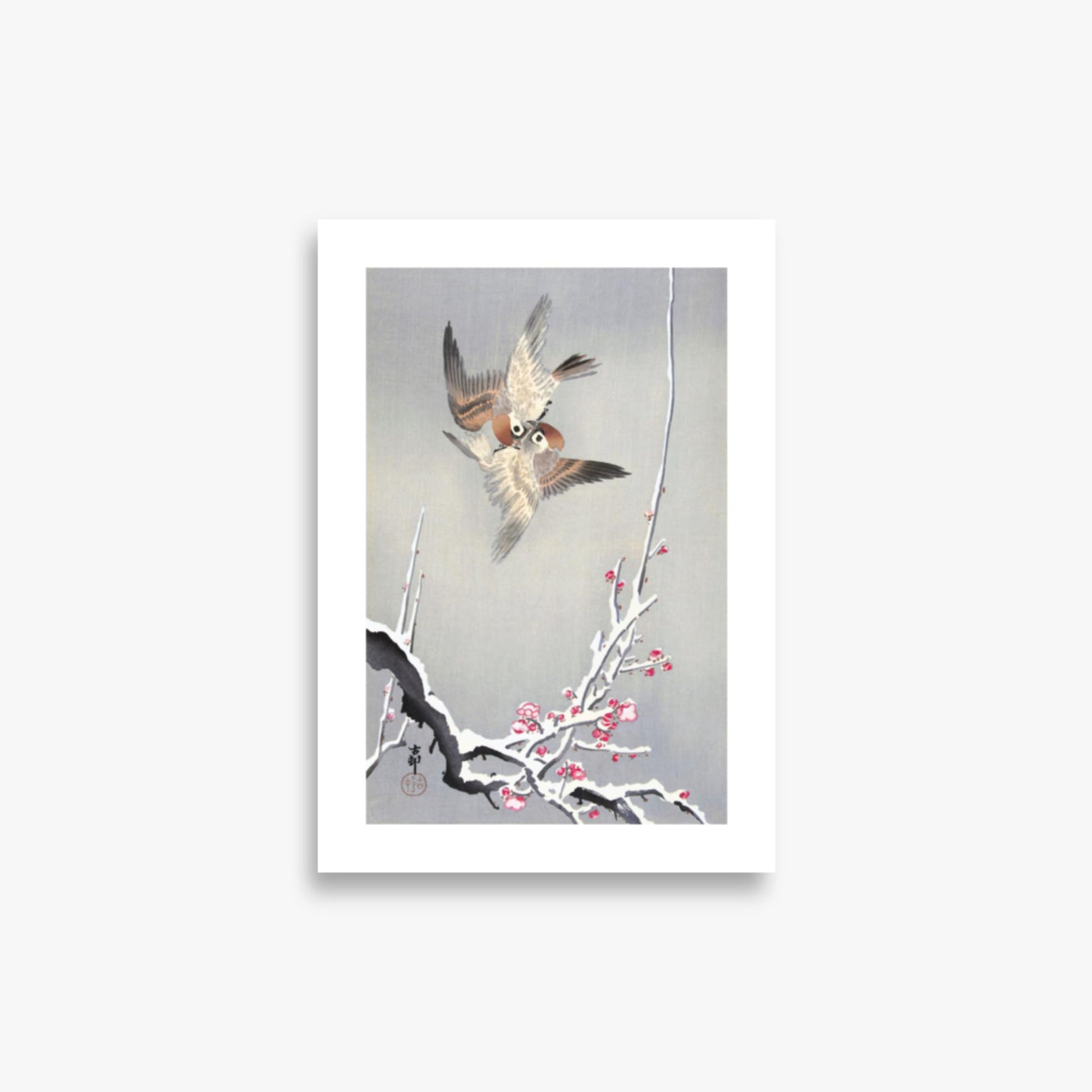 Ohara Koson - Sparrows and Snowy Plum Tree 21x30 cm Poster