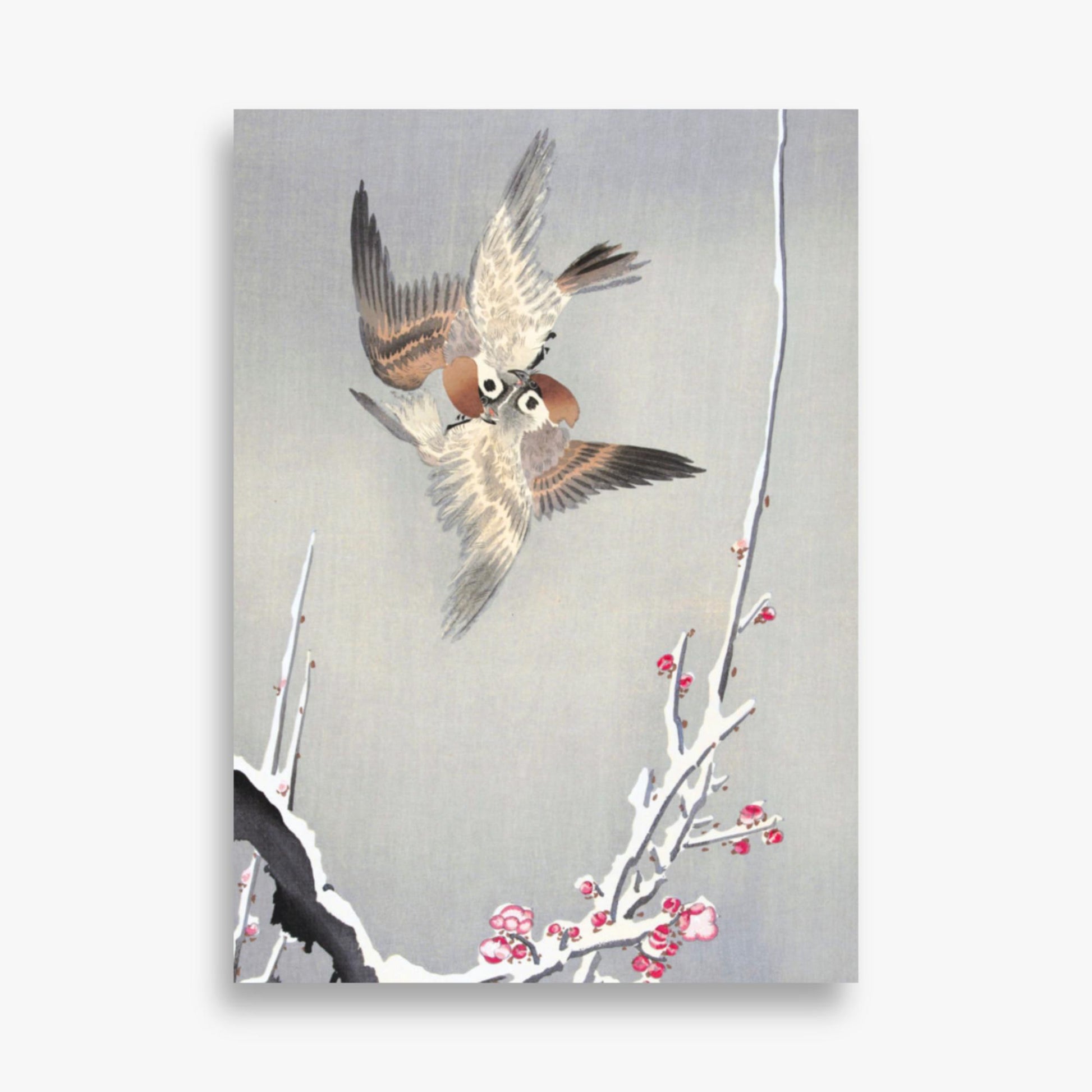 Ohara Koson - Sparrows and Snowy Plum Tree 50x70 cm Poster